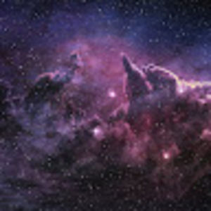 Meet your Posher, Donte